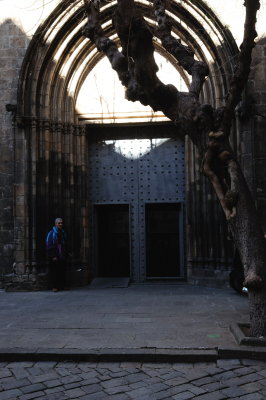 DSC_2481.jpg