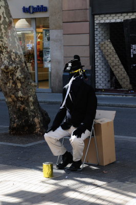 DSC_2483.jpg