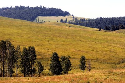 Osoyoos Landscape