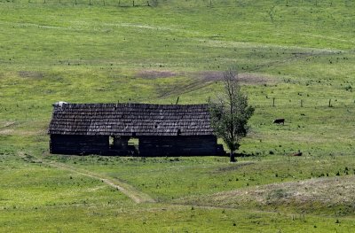 Barn