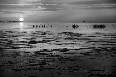 Ebb tide delta of the Waddenzee