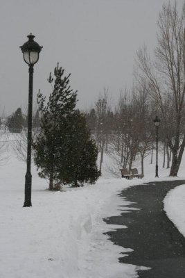 Il neige sur le parc
