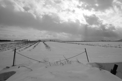 Ferm pour l'hiver (noir & blanc)
