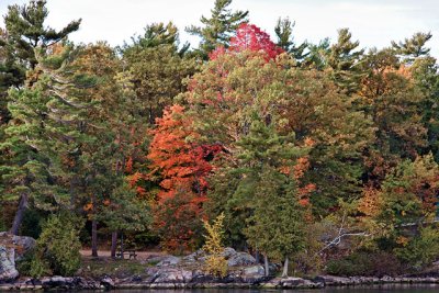 Fall on the St Lawrence