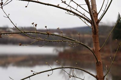 Early spring on the Saint John River, south of Woodstock