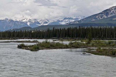 The Athabasca River