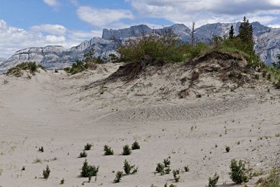 Sand dune along Jasper Lake