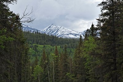 Marmot Mountain (I think)
