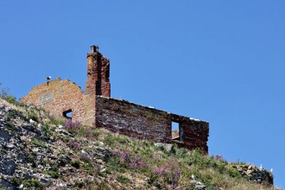 Ruins of a 12th century monastery on Puffin Island
