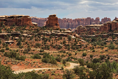 In the The Needles section of Canyonlands