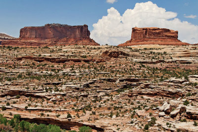 Canyonlands National Park (Island In The Sky District), Utah