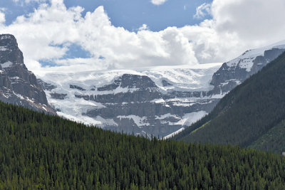 The Columbia Icefield