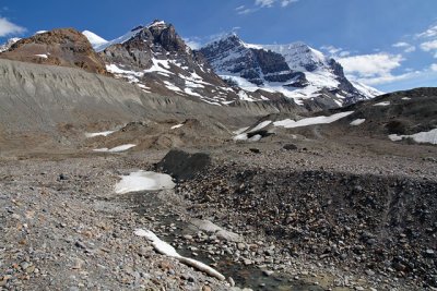 Moraines formed by the Athabasca Glacier