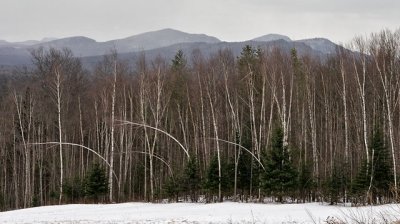 In the Adirondacks
