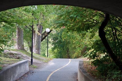 From the Hogs Back Road underpass