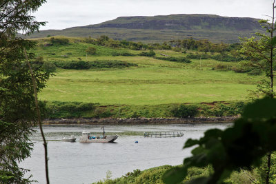 Fish farming on Loch Dunvegan