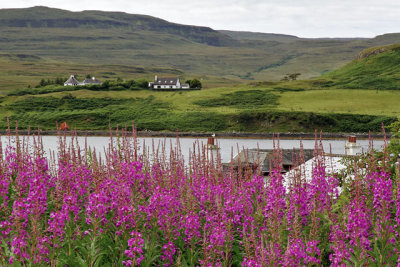 On Loch Dunvegan