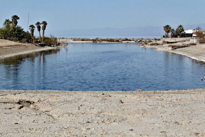 Residential lake. off the Salton Sea