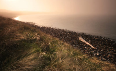 Dustanburgh Sea Mist.jpg