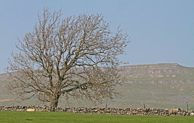 Yorkshire Dales 2.jpg