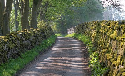 Yorkshire Dales 3.jpg