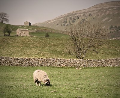 Yorkshire Dales 9.jpg
