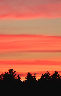 Ox Bay Sunset 1.jpg