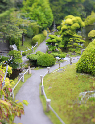 Japanese Tea Garden 7.jpg