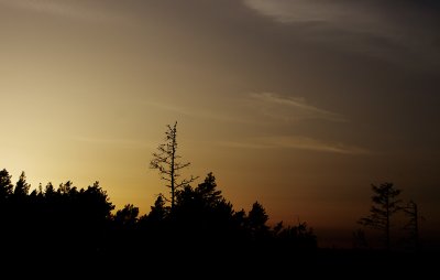 g4/52/950552/3/133813105.lx7ibXfy.jpg