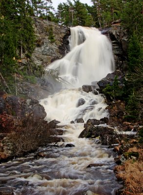 Elgfossen in Springtime I