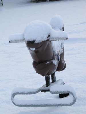 AIMG_1658A.jpg