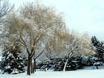 AIMG_1659A.jpg