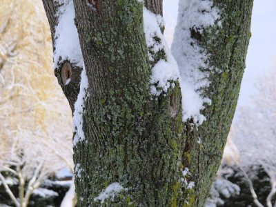 aIMG_1670A.jpg