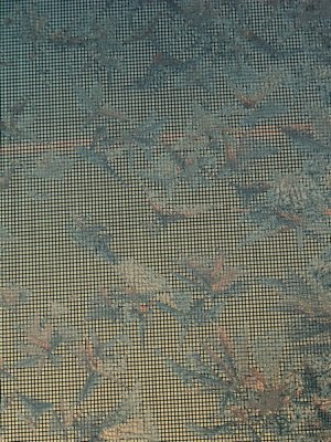 AIMG_1708A.jpg