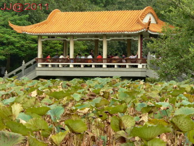 AP1070015A.jpg