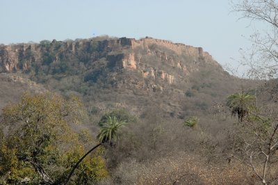 Bandhavgarh Fort 