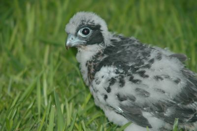 200606_D70 006.jpg
