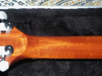 11521989_o.jpg