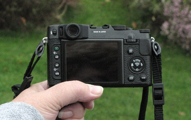 Rear view my wifes chubby little hands