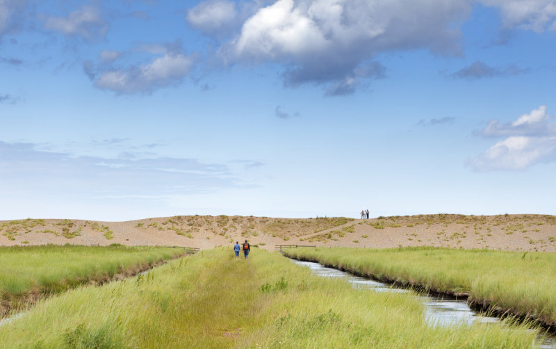 cley_marshes