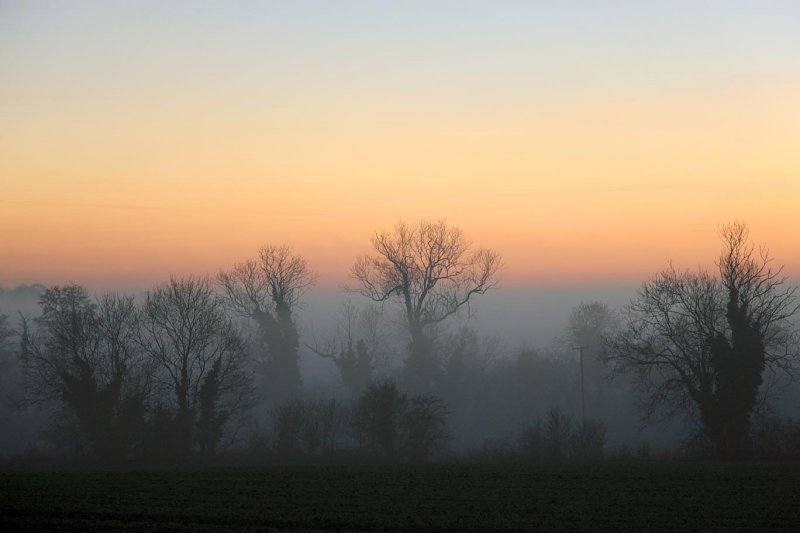 Misty Landscape