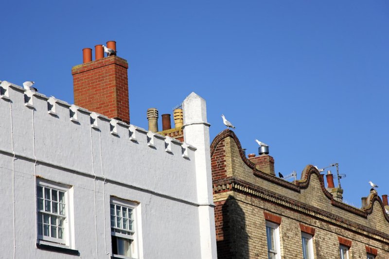 Gulls on the Roof