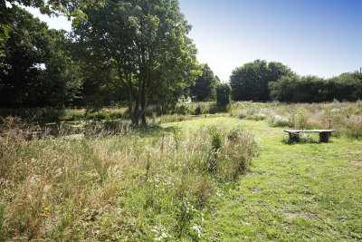 The Village Pond, Mid Summer 2011