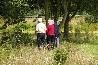 Judges left to wander and discuss the project