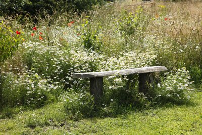 What a lovely seat to just sit and ponder.