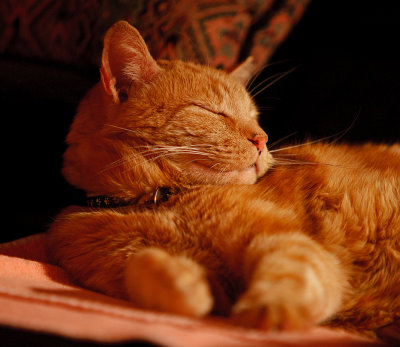 Tigger