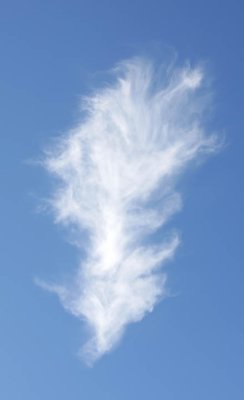 Feather Like Cloud 2