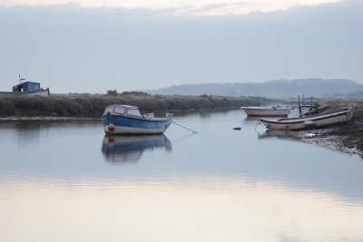 Frosty Dawn