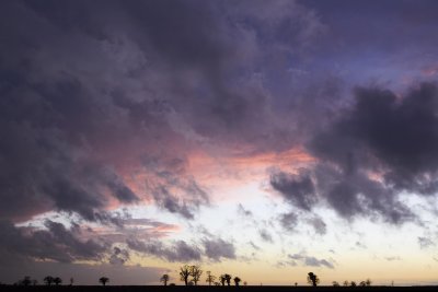 As Darkness Falls