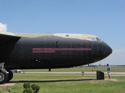 CRW_6538C.jpg